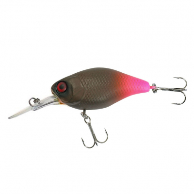 2Q1UxYRuSQOBOhj9CFwSxPUTHz_enl