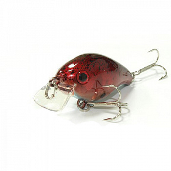 0538 Red Zone 524_enl