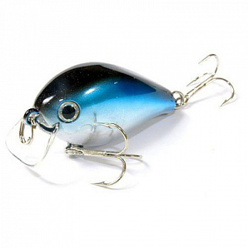 052 Aurora Black_enl