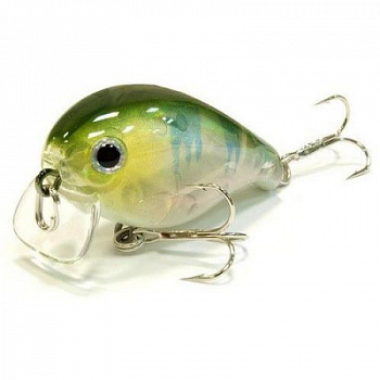 fI7gEPhObXvHAawl5Z7e1lF448_enl