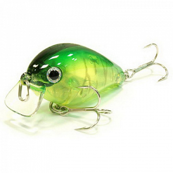 23tOY81xo73o9DtXa-TXsfuhFG_enl