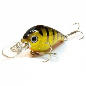 W9LtSma5kDbM_h670iMphC8_MD_enl